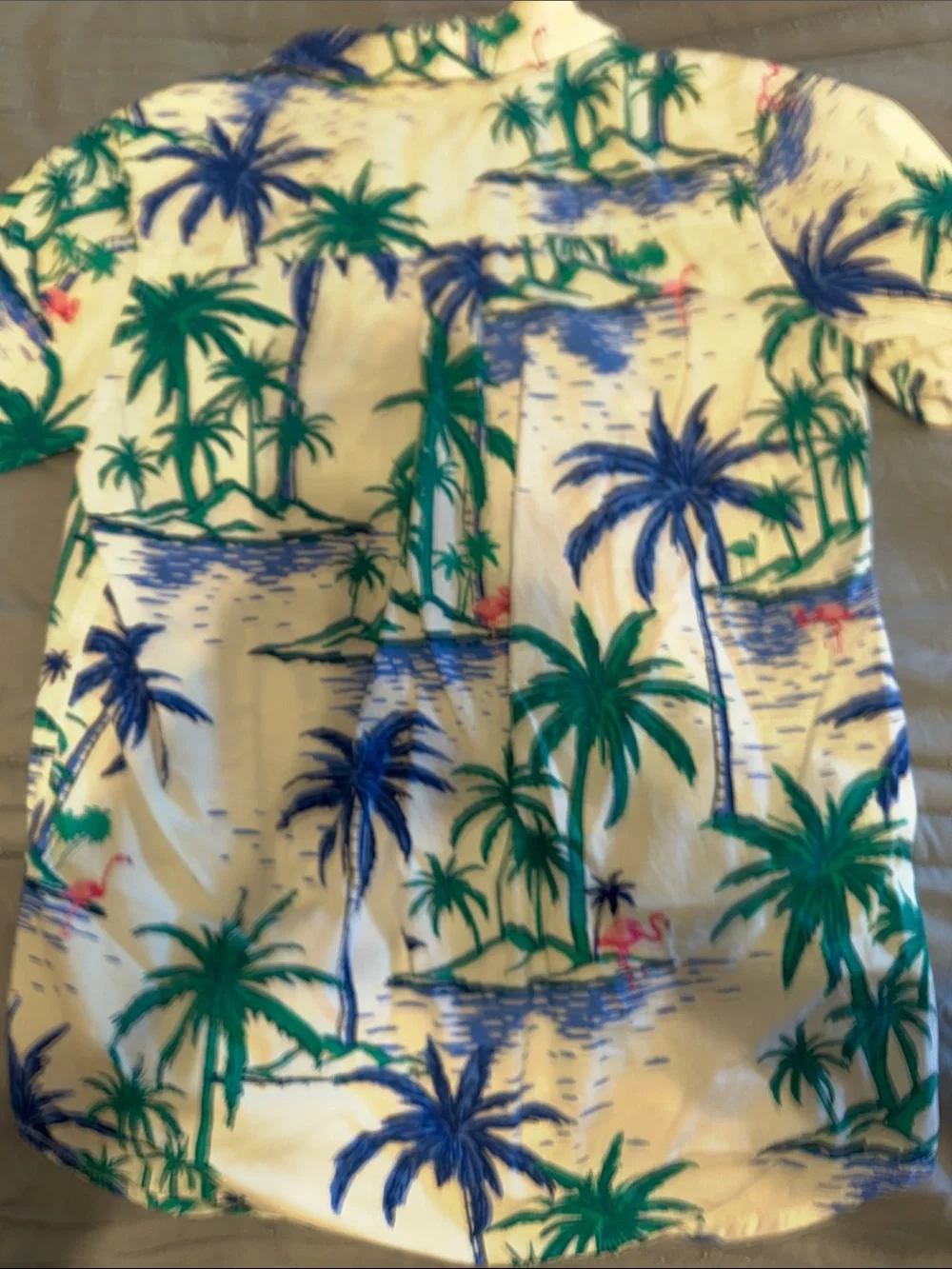 The Childrens Place casual short